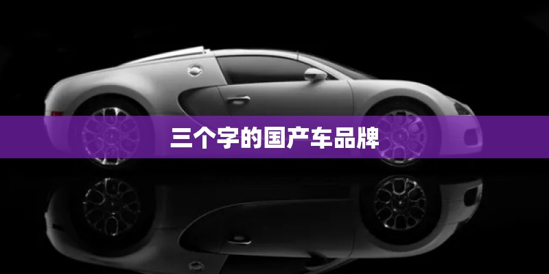 三个字的国产车品牌