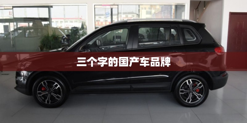 三个字的国产车品牌 三个字的国产车品牌