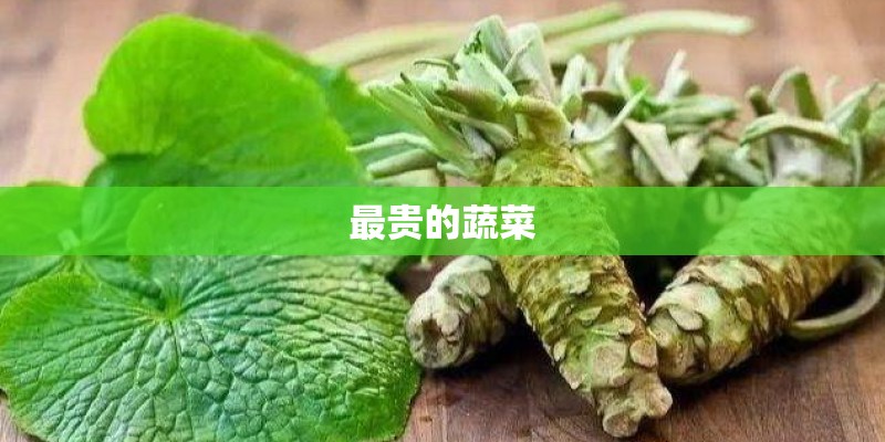 最贵的蔬菜
