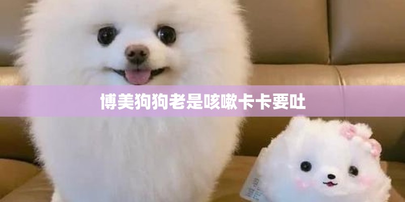 博美狗狗老是咳嗽卡卡要吐