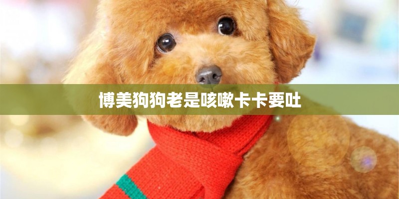 博美狗狗老是咳嗽卡卡要吐