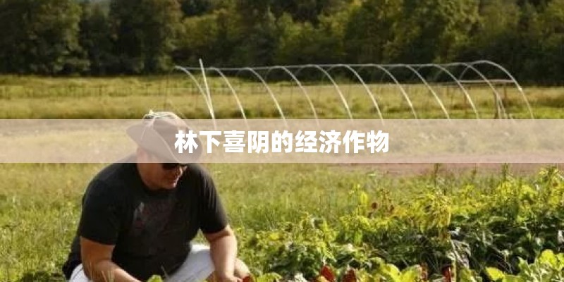 林下喜阴的经济作物 林下喜阴的经济作物