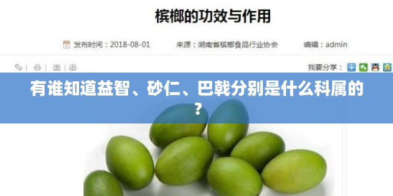 有谁知道益智、砂仁、巴戟分别是什么科属的？