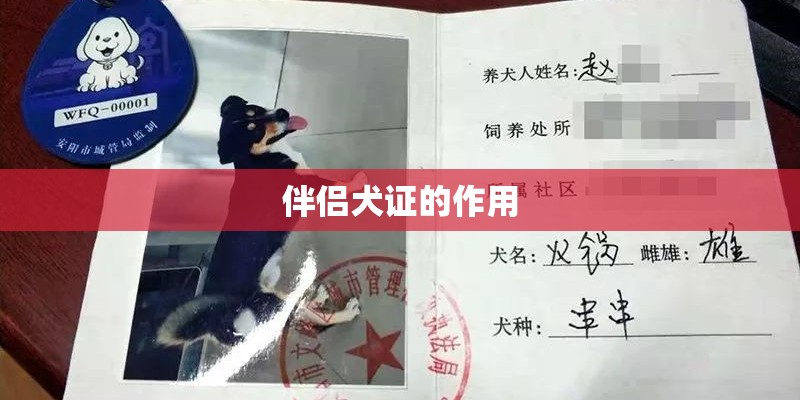 伴侣犬证的作用