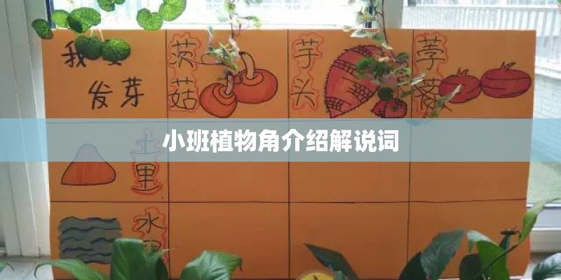 小班植物角介绍解说词