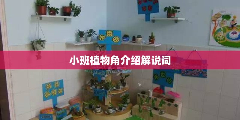 小班植物角介绍解说词