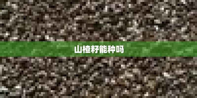 山楂籽能种吗