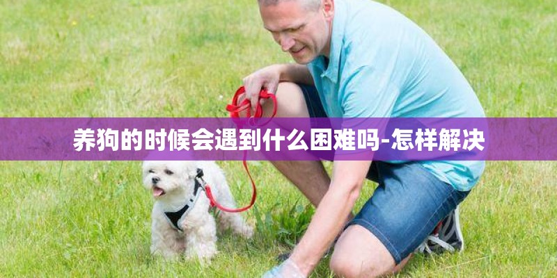 养狗的时候会遇到什么困难吗-怎样解决