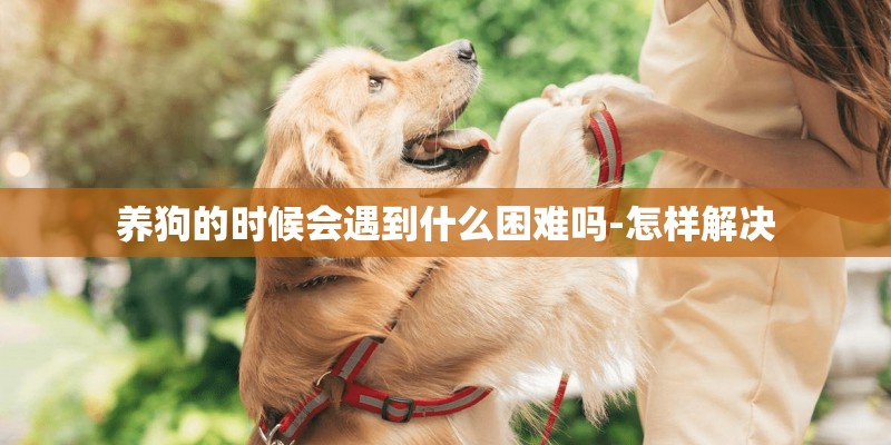 养狗的时候会遇到什么困难吗-怎样解决