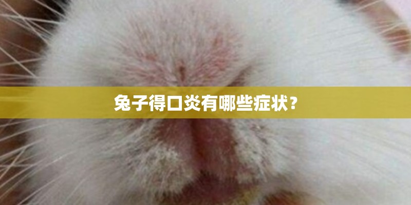 兔子得口炎有哪些症状？