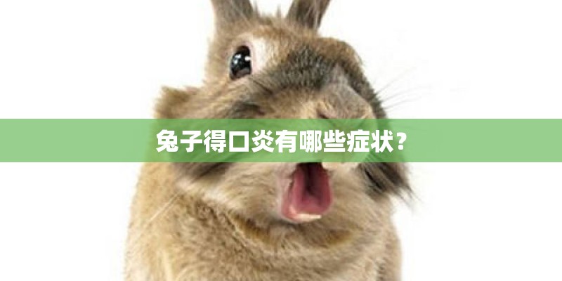兔子得口炎有哪些症状？