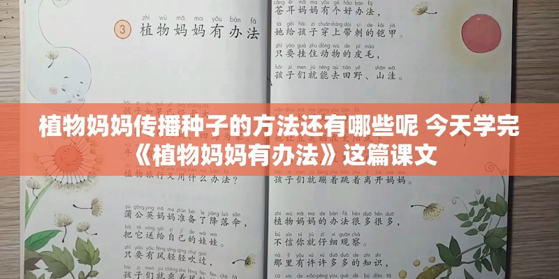 植物妈妈传播种子的方法还有哪些呢 今天学完《植物妈妈有办法》这篇课文