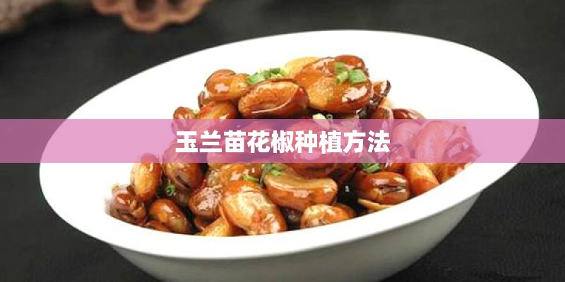 玉兰苗花椒种植方法