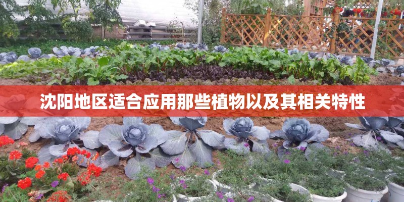 沈阳地区适合应用那些植物以及其相关特性