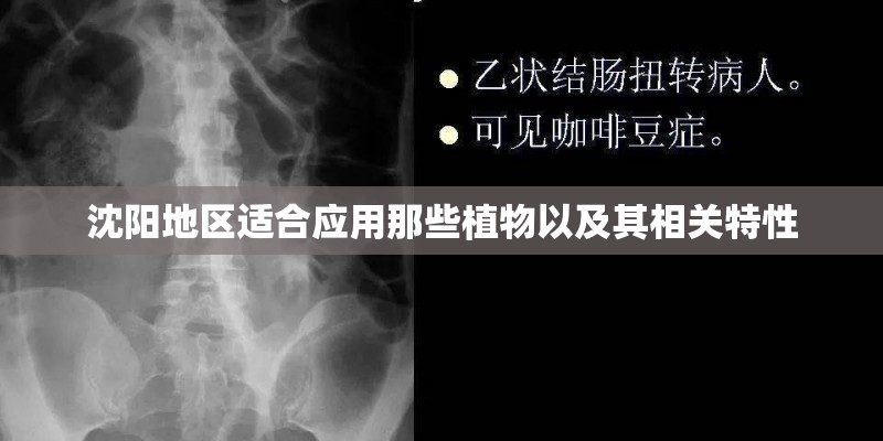 沈阳地区适合应用那些植物以及其相关特性