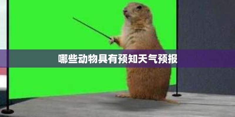 哪些动物具有预知天气预报