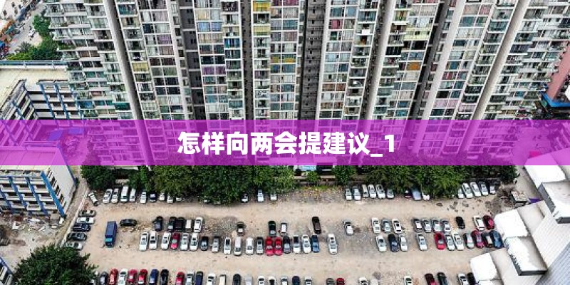 怎样向两会提建议_1
