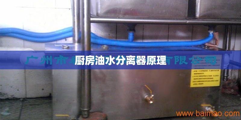 植物大战僵尸背景音乐