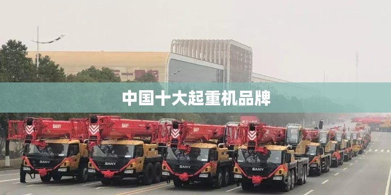 中国十大起重机品牌