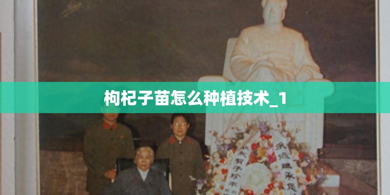 枸杞子苗怎么种植技术_1