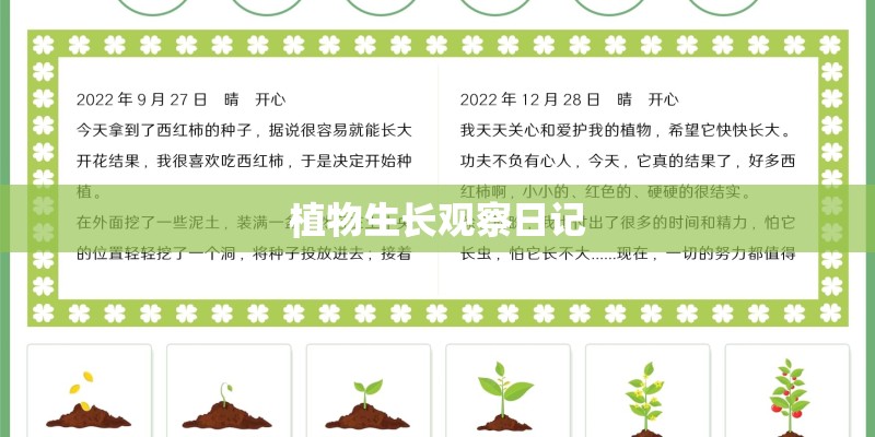 植物生长观察日记