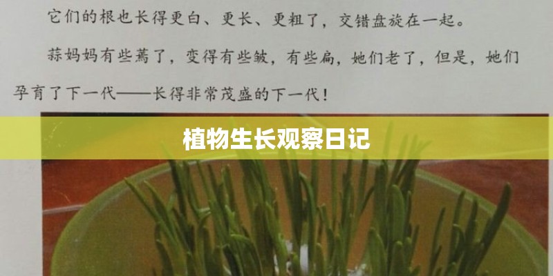 植物生长观察日记