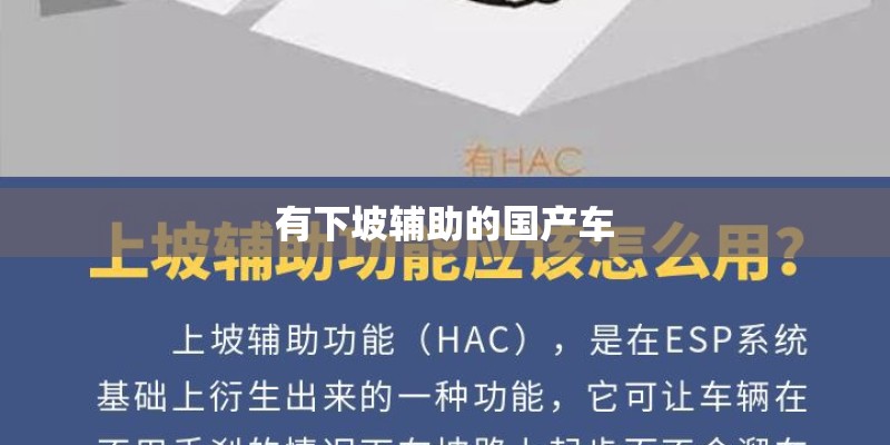 有下坡辅助的国产车 有下坡辅助的国产车