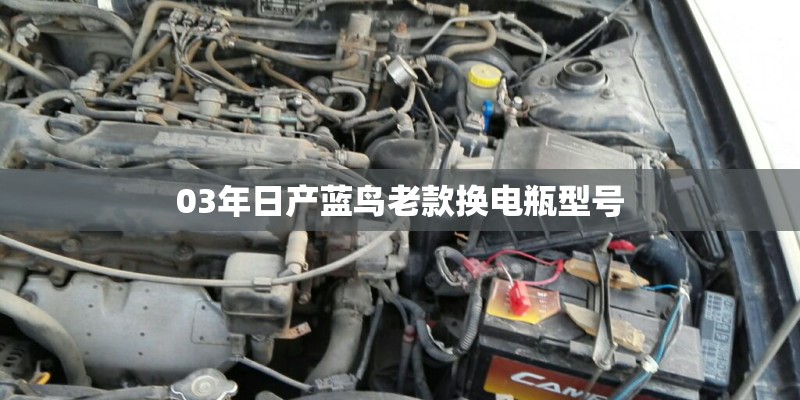 03年日产蓝鸟老款换电瓶型号