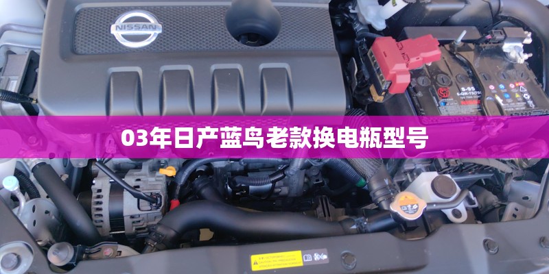 03年日产蓝鸟老款换电瓶型号