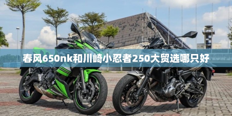 春风650nk和川崎小忍者250大贸选哪只好