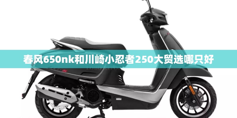 春风650nk和川崎小忍者250大贸选哪只好