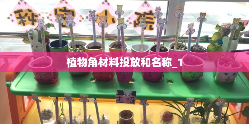 植物角材料投放和名称_1