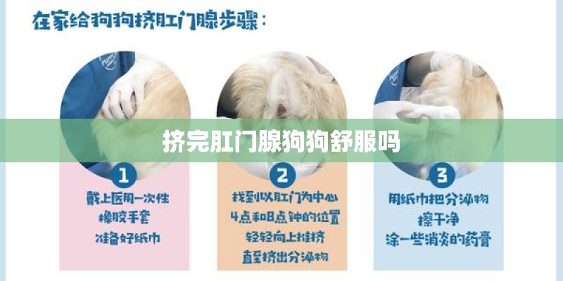 挤完肛门腺狗狗舒服吗