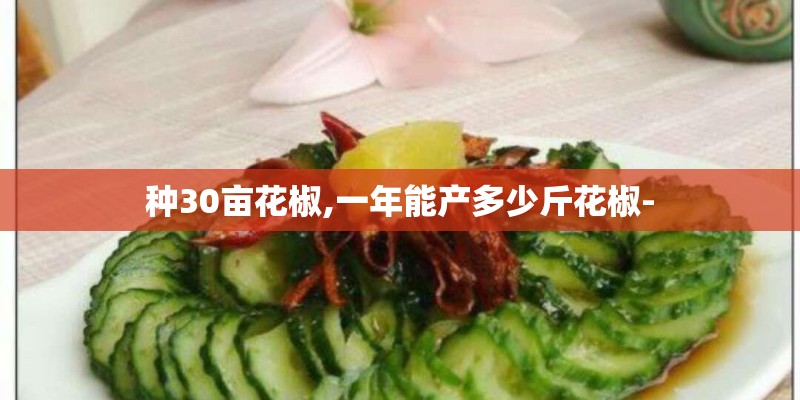 种30亩花椒,一年能产多少斤花椒-