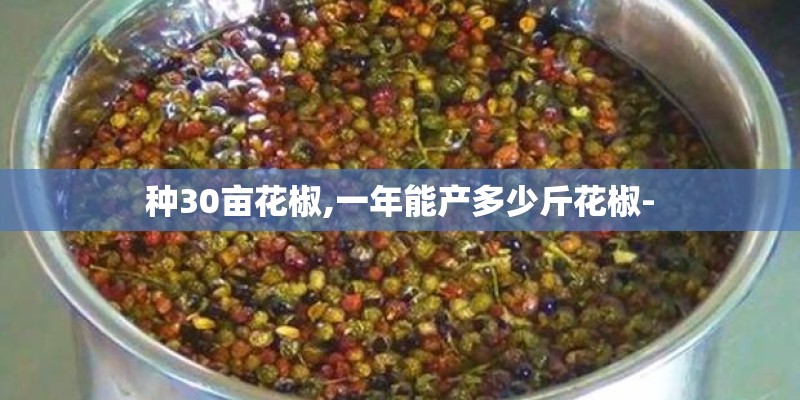 种30亩花椒,一年能产多少斤花椒-