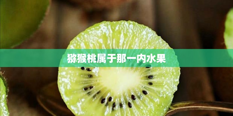 猕猴桃属于那一内水果