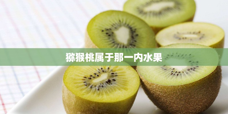 猕猴桃属于那一内水果