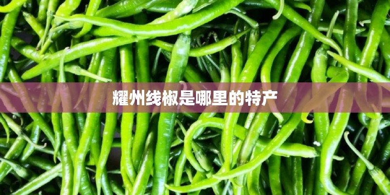 耀州线椒是哪里的特产