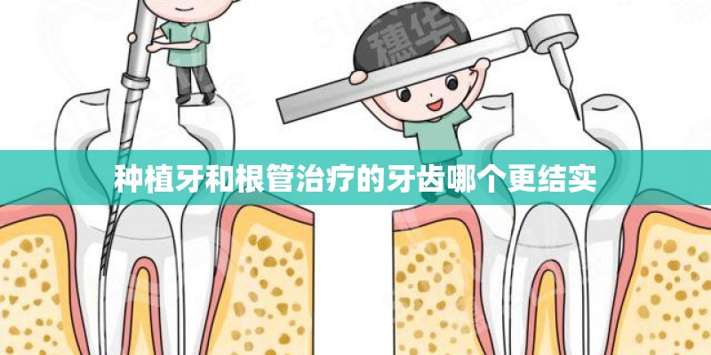 种植牙和根管治疗的牙齿哪个更结实