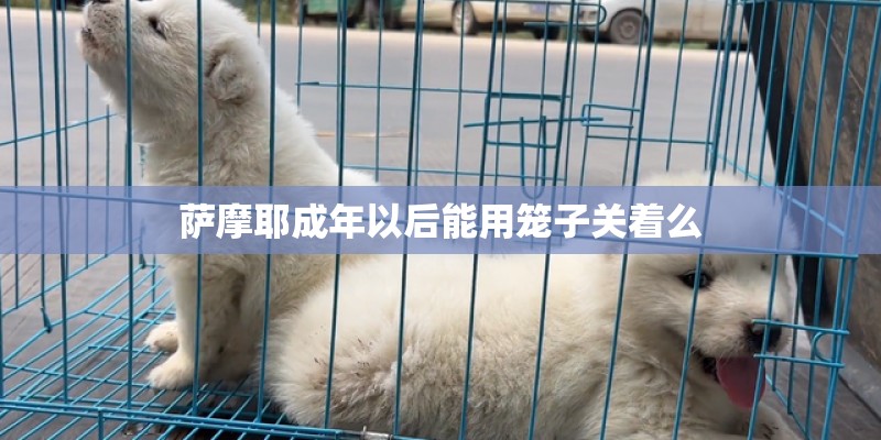 萨摩耶成年以后能用笼子关着么