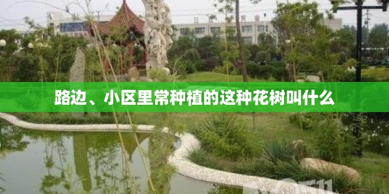路边、小区里常种植的这种花树叫什么 路边、小区里常种植的这种花树叫什么