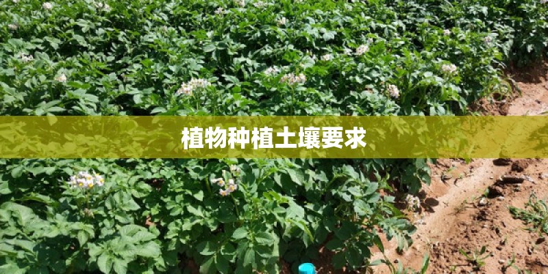 植物种植土壤要求