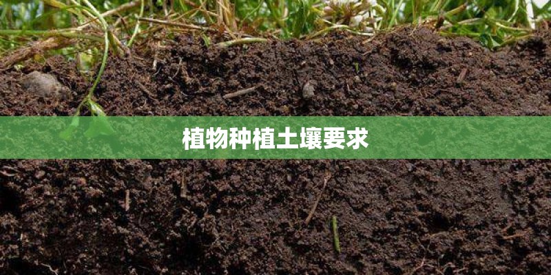 植物种植土壤要求