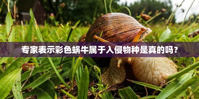 专家表示彩色蜗牛属于入侵物种是真的吗？