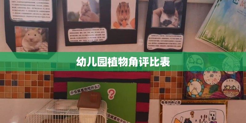 幼儿园植物角评比表