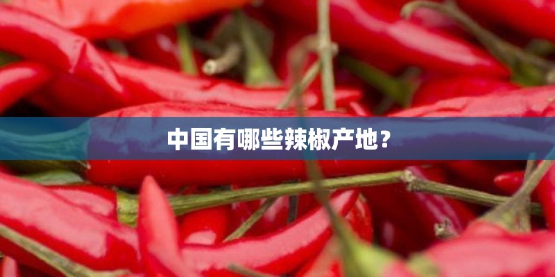 中国有哪些辣椒产地？