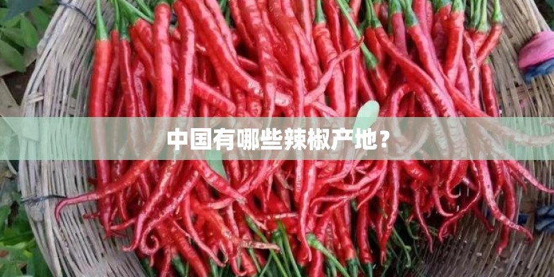 中国有哪些辣椒产地？