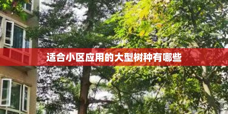 适合小区应用的大型树种有哪些 适合小区应用的大型树种有哪些