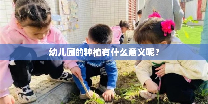 幼儿园的种植有什么意义呢？