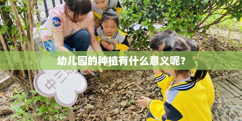 幼儿园的种植有什么意义呢？